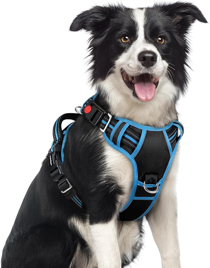 rabbitgoo Dog Harness Medium Sized, No Pull 3 Buckles Easy On & Off | Soft Padded, Walking with Control Handle, Adjustable and Reflective, Black & Blue, Medium