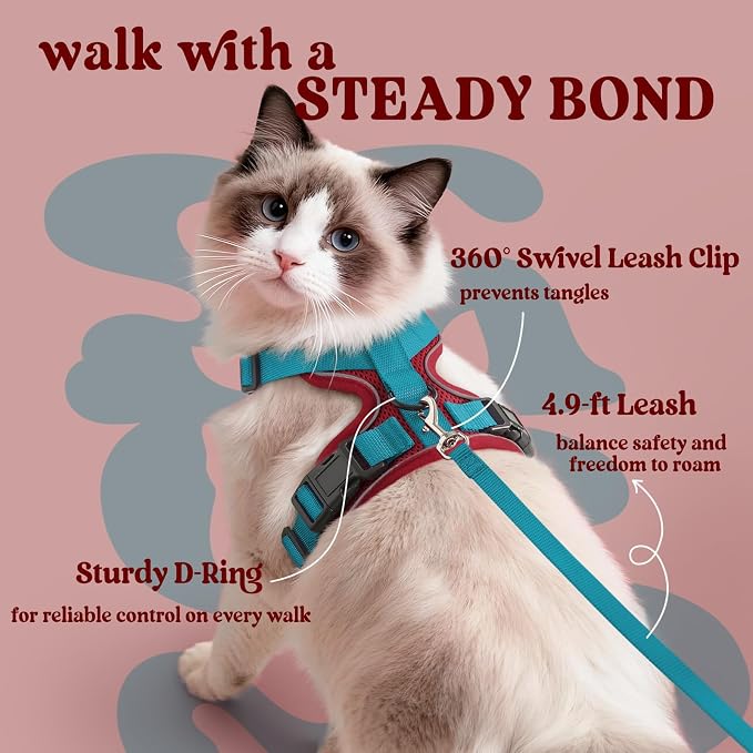 rabbitgoo Cat Harness and Leash Set, Escape Proof Vest, Red & Teal | Soft Breathable Mesh, Easy Adjustable Fit, Snap Buckles, Sturdy Clip, Reflective Strips, for Average Cats Walks, S