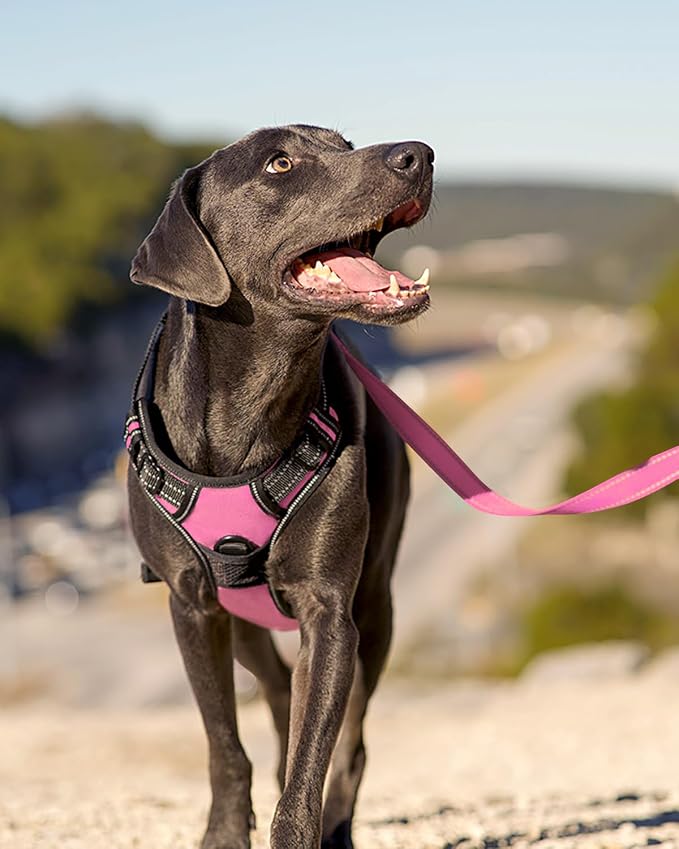 Joytale No Pull Dog Harness Medium Sized Dog, Front Clip, Pink | Grab Handle for Instant Control, Padded & Adjustable Vest, Sturdy Metal D-Rings, for Safe Training & Daily Walking