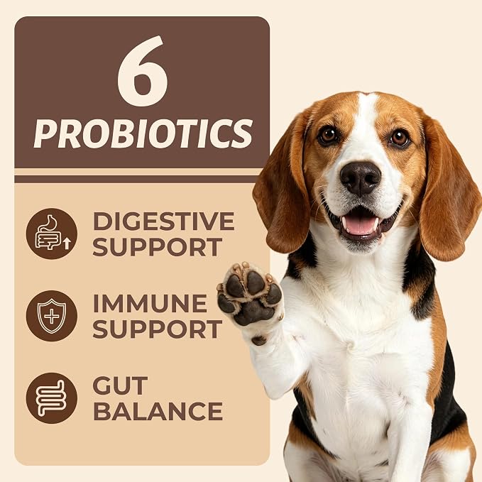 Wellix Probiotics Dog Treats for Digestive Health, Crunchy Dog Biscuits