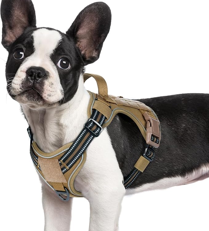rabbitgoo Tactical Dog Harness for Small Dogs, No Pull Service Pet Vest | Military Molle System & Easy Control Handle, Adjustable and Reflective for Walking and Training, Brown, Small