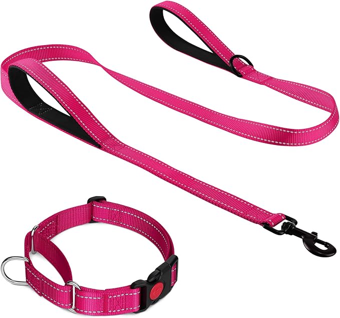 Joytale Martingale Dog Collar(16-20"), 6FT Double Handle Dog Leash for Training, Hotpink