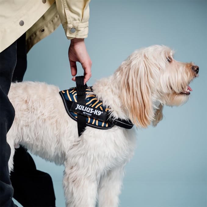 Julius-K9, 24IDCK9-CANY-XL, IDC Powerharness, Dog Harness, Size: Extra Large, Canyon (XL)