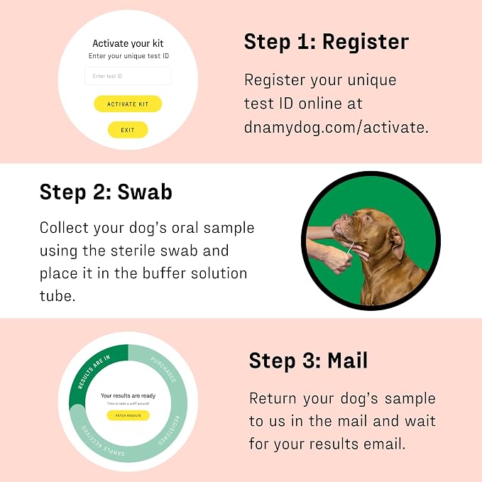 Vet-Recommended Allergy Test for Itchy Dogs - Gold