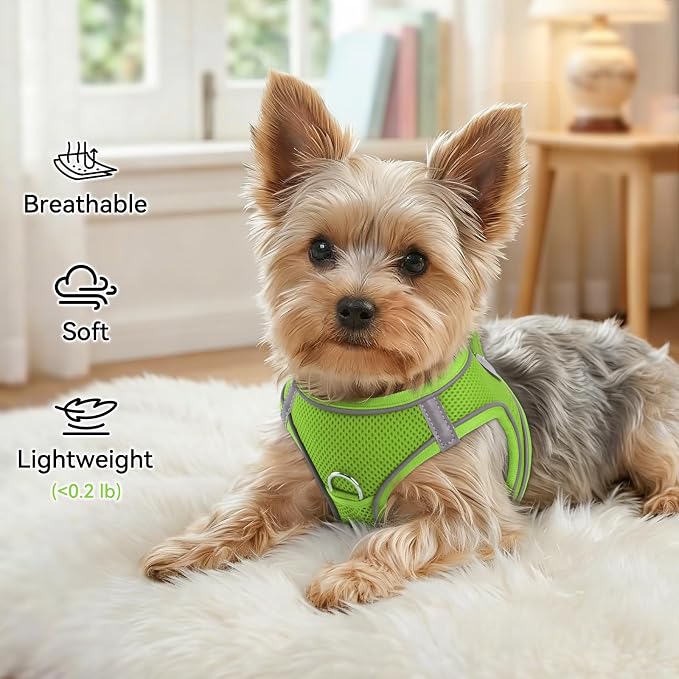 Joytale Step-in Dog Harness, Soft Breathable Mesh, Green XS | Adjustable Fit for Small Dogs, Easy Step-in with Secure Fastener, Even Chest Pressure, Reflective For Night Safety, Washable