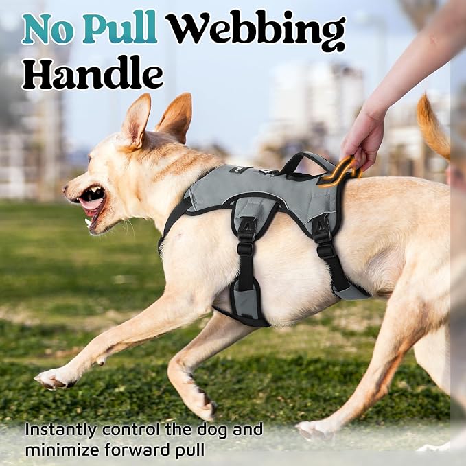 rabbitgoo Escape Proof Dog Harness for Medium, No Pull with Lift Handle | No Escape, Full Soft Padded, Reflective Adjustable Vest, Leash Clip for Walking Hiking Training, Grey, Medium