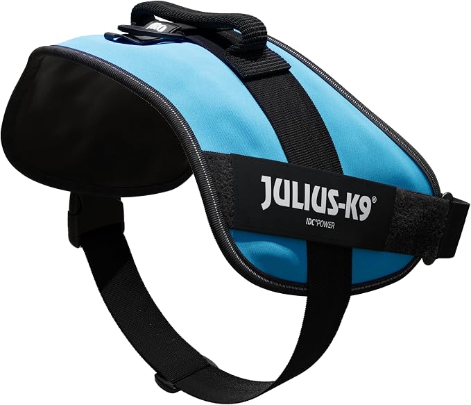 Julius-K9, 16IDC-AM-4, IDC Powerharness, Dog Harness, Size: 4, Aquamarine