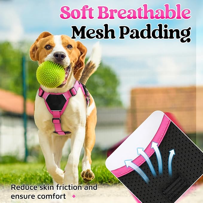 rabbitgoo Escape Proof Dog Harness for Small, No Pull with Lift Handle | No Escape, Full Soft Padded, Reflective Adjustable Vest, Leash Clip for Walking Hiking Training, Rose & Black, Small