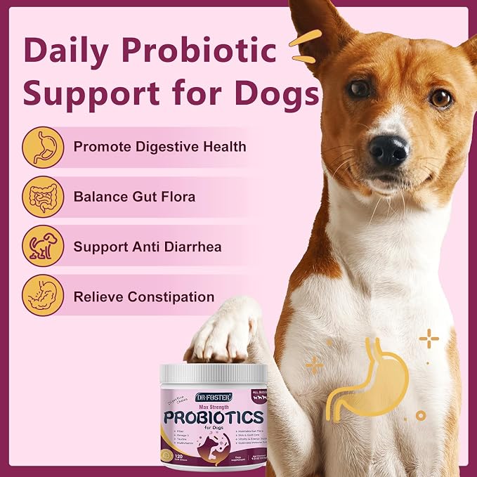 DRFOSTER Probiotics for Dogs, 6 Billion CFU, Pumpkin, 120 Chews