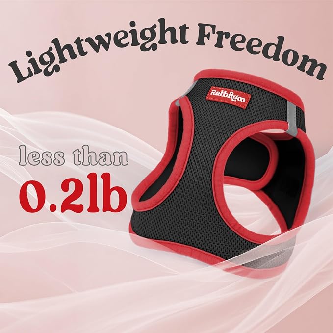 rabbitgoo Dog Harness Small Sized and Leash Set, Step in Soft Vest | Breathable Mesh, Easy Wear with Hook & Loop, Light and Reflective for Walking, Multi-colored, Black & Red, S