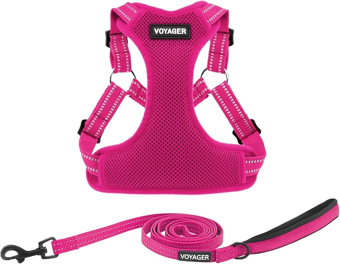 Best Pet Supplies Voyager Adjustable Step-in Flex Breathable Mesh Dog Harness for Small Medium Large Dogs Leash Set (Fuchsia), M