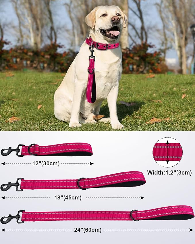 Joytale Short Dog Leash for Close Control & Training, 24", Hot Pink | Padded Comfort Handle, Reinforced Nylon Webbing, Secure Metal Clip, for Busy Streets & Heel Training