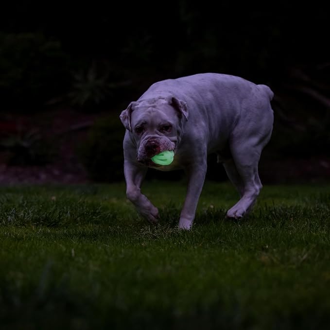 Chuckit! Air Glow Fetch Ball Dog Toy, Medium 2.5in, 2 Pack | Made for Dogs Weighing 0 to 60 Pounds