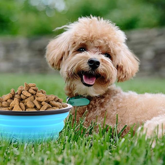 Collapsible Dog Bowls, Pack of 5