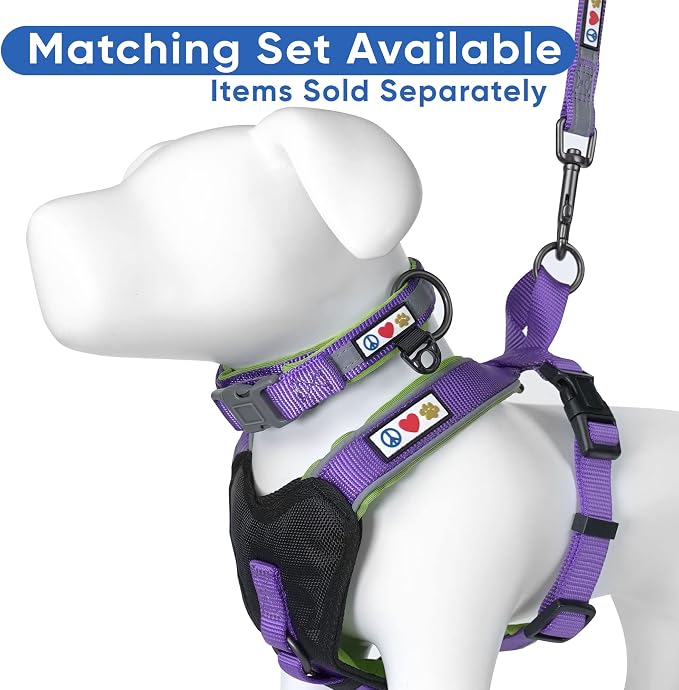 Pawtitas 6 FT Padded Dog Leash with Comfortable Neoprene Padding Handle - Purple Lead | Medium Reflective Dog Leash with Highly Reflective Band Perfect for Medium and Large Dogs and Puppies.