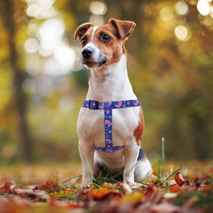 PUPTECK No Pull Dog Harness Small Sized Step-in Adjustable Puppy Vest | Soft Webbing Basic Halter with ID Tag for Outdoor Walking
