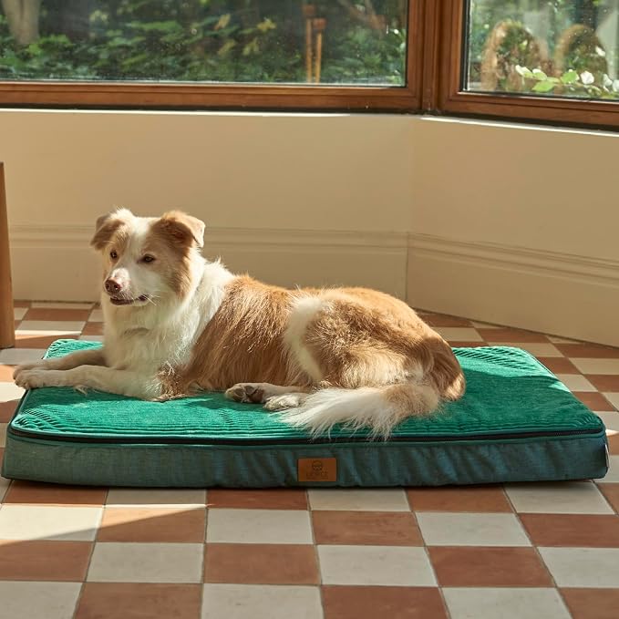 LIORCE Orthopedic Memory Foam XL Dog Bed - 4in Thick, Green