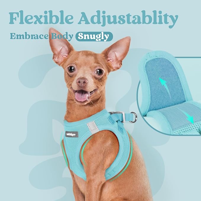 rabbitgoo Step-in Small Dog Harness, Puppy Vest for Small Medium Sized Pet | Easy Put on and off, Lightweight, Soft, Breathable Quick-Dry Air Mesh for Comfortable Secure Walking, Mint Blue XL