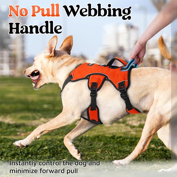 rabbitgoo Escape Proof Dog Harness for Large, No Pull with Lift Handle | No Escape, Full Soft Padded, Reflective Adjustable Vest, Leash Clip for Walking Hiking Training, Orange, Large