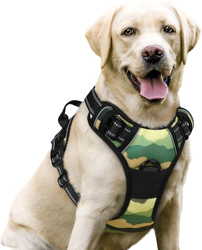 rabbitgoo Dog Harness, No Pull for Large Dogs with 2 Leash Clips, Pet Vest | No Choke with Handle, Adjustable Soft Padded, Reflective, Easy Control for Walking, Green Mountain, Large