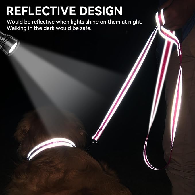 Joytale Reflective Dog Leash for Medium & Large Dogs, 6 FT x 1", Hotpink | Heavy Duty Nylon Webbing, Padded Handle for Comfort, Visible at Night, for Walking & Training