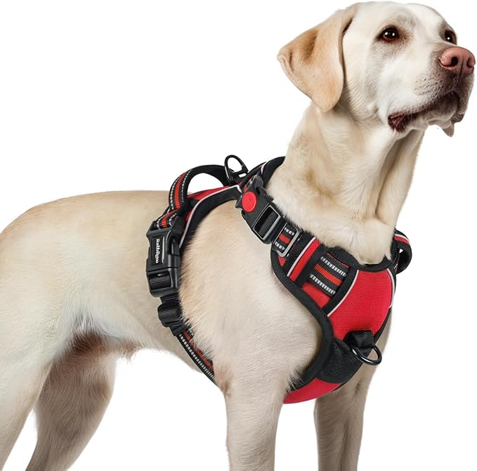 rabbitgoo Dog Harness for Large, Updated Easy On & Off with 3 Buckles | No Pull No Choke, Walking with 2 Clips and Handle, Adjustable Soft Reflective, Red, Large