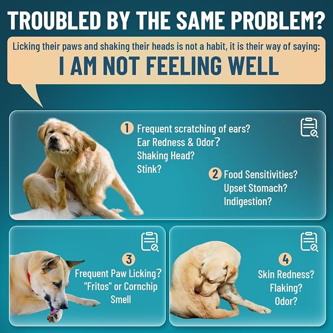 VICSOM Natural Dog Yeast Infection Treatment, 2 Pack 60ml x2
