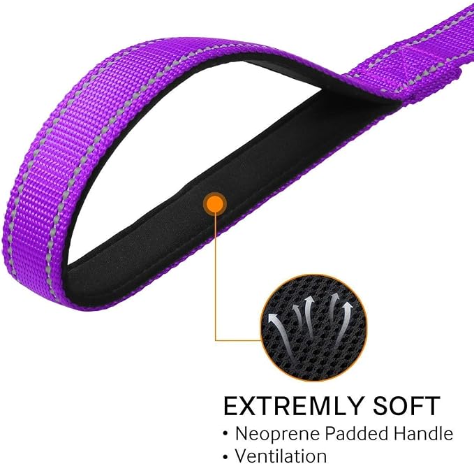Joytale 12-16 inches Dog Collar and 6FT Leash, Reflective Soft Neoprene Padded Pet Collars and Leashes for Small Dog
