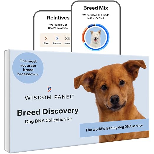 Wisdom Panel Breed Discovery DNA Test Kit