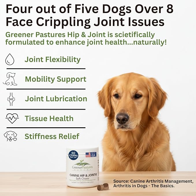 Hip & Joint Supplement Soft Chews for Dogs – Advanced Mobility & Comfort Support – Glucosamine, Chondroitin, MSM, Turmeric, Boswellia & Collagen – 60 Count