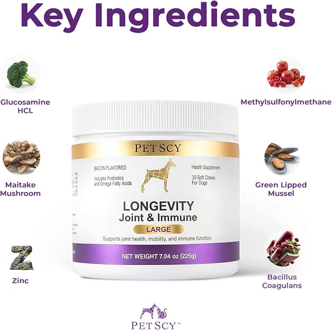 Petscy Longevity Hip & Joint + Immune Support for Dogs - Large (7.5g Chew) - High Dose Glucosamine, MSM, Chondroitin, Green Lipped Mussel, Omega 3, Probiotics - 30 Chews (Large Dogs)
