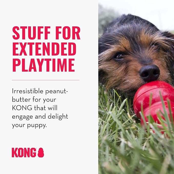 KONG Classic Stuffable Dog Toy Easy Treat Peanut Butter Spray - Fetch & Chew Toy for Dogs - with Dog Toy Filler Treat - for Hours of Fun & Enrichment - 8 oz - for Medium Dogs