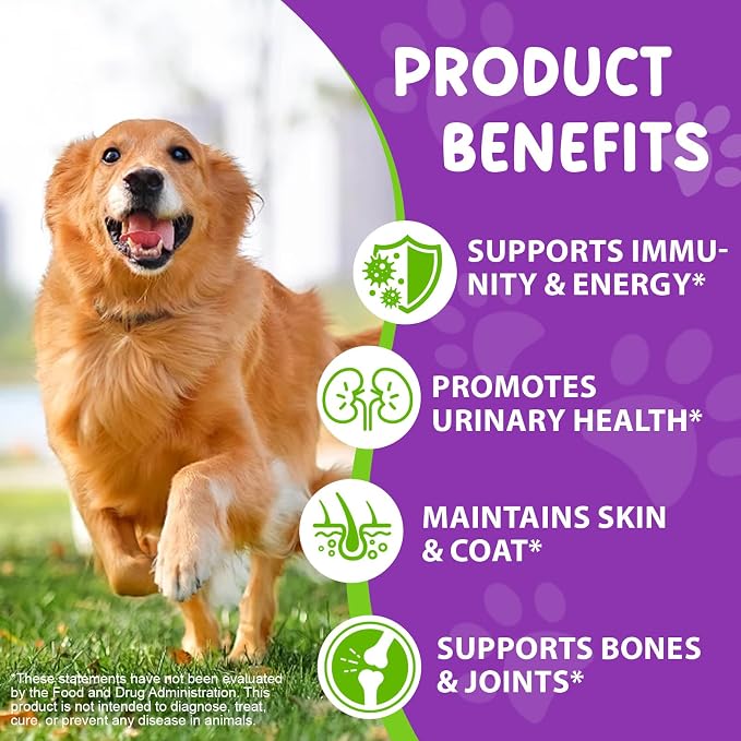 Dog Multivitamin Drops, 15 in 1 Multivitamin Liquid for Dog with Vitamin C, Vitamin D & B1, Dog Health Supplements for Skin Care, Joints & Hips