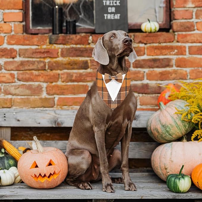 Fall Dog Tuxedo Bandana, Small, Small, Orange