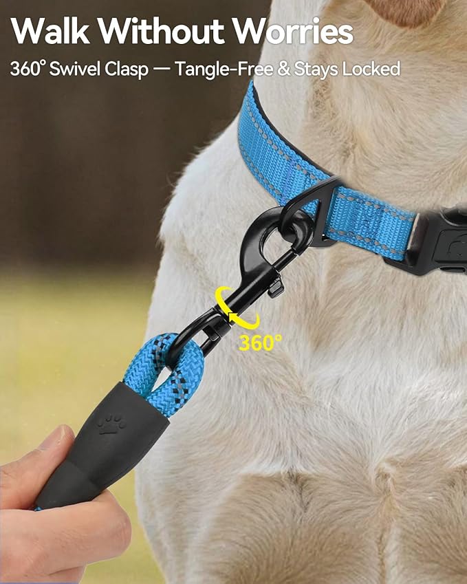 Joytale Rope Dog Leash for Small Dogs, Padded Handle, 6FT, Aqua Blue | Reinforced Nylon Webbing, Comfort Grip Eases Hand Strain, Swivel Clip Prevents Tangles, Visible at Night, for Outdoor Walks