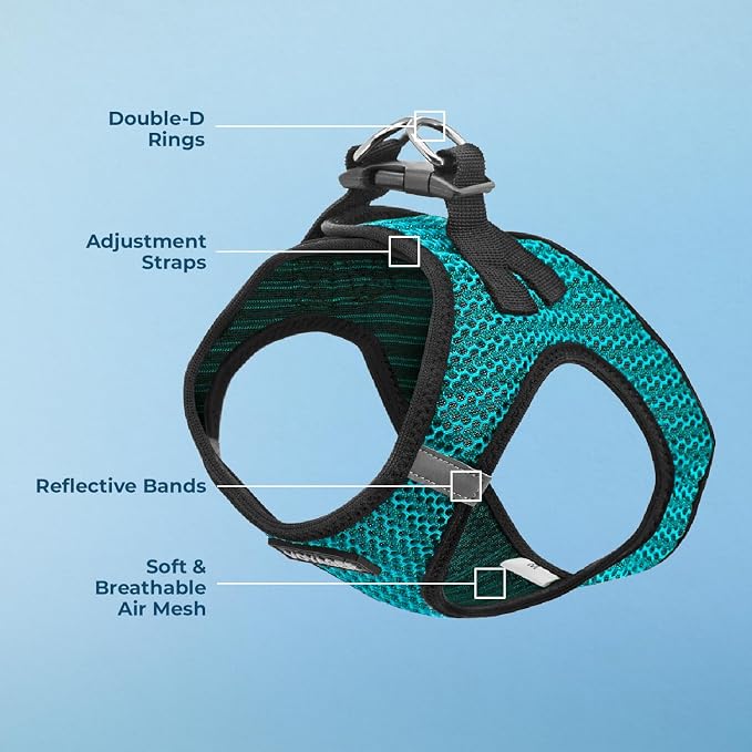 Voyager Step-in Air Dog Vest Harness - Turquoise 2-Tone, Small | 14.5-16" in Chest, Reflective Bands, All Weather Breathable Air Mesh, Cats Compatible, Lightweight, Fast Drying
