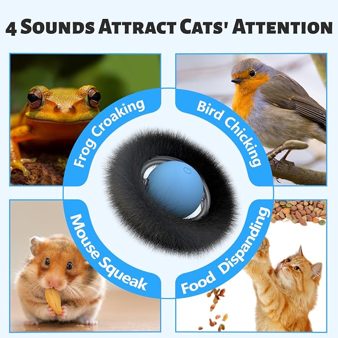 ORSDA Cat Toys, Interactive Fast Rolling Ball in Pouch, Hide and Seek for Indoor Cats, Motion Chirping Activated Moving Ball, 7 Holes Mat Mouse Catching Game
