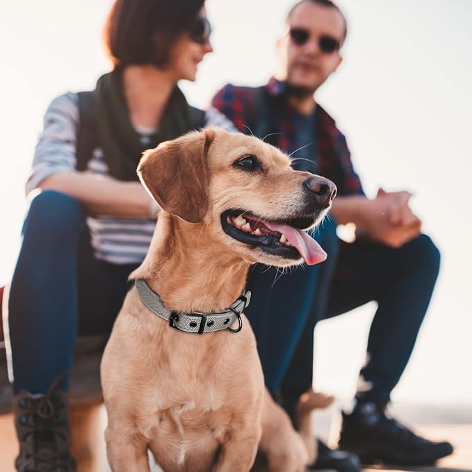 Fida Padded Dog Collar for Small Dogs with Metal Belt Buckle, Grey | Soft Neoprene Padded for Extra Comfort, Durable Nylon Webbing, Adjustable Fit, Reflective Stitching for Night Safety