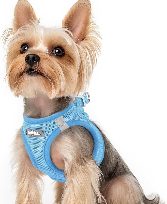 rabbitgoo Step-in Small Dog Harness, Puppy Vest for Small Sized Pet | Easy Put on and off, Lightweight, Soft, Breathable Quick-Dry Air Mesh for Comfortable Secure Walking, Blue XS