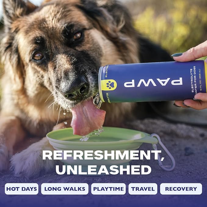 Water Electrolyte Hydration for Dogs | Potassium, Sodium & Magnesium | Supports Hydration, Electrolyte Balance & Recovery | 6 Resealable 12 oz Cans