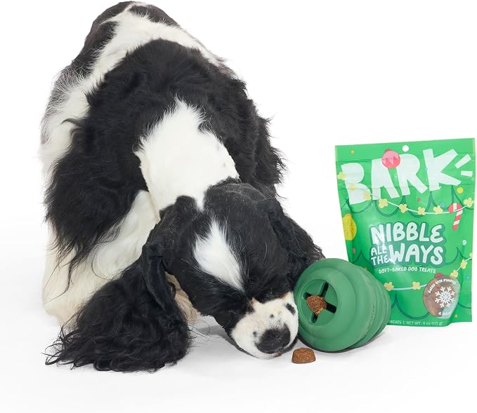 Barkbox O’Christmas Tree & Treat Set – Durable Treat-Dispensing Rubber Dog Toy with Pumpkin Treats – Fun Stocking Stuffer for Strong Chewers (Pack of 2)