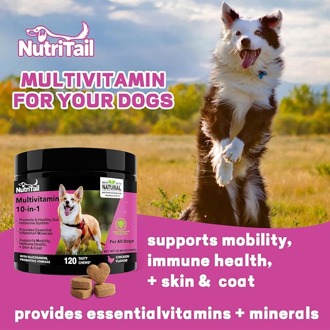 NutriTrail Multivitamin for Dogs – 10-in-1 Soft Chews with Glucosamine, Probiotics, Omega-3, Vitamins & Minerals – Supports Hip & Joint, Digestion, Skin & Coat, and Immune Health – Chicken, 120 Ct