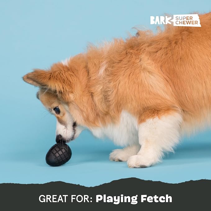 BarkBox Origin Super Chewer - Toy for Small Dogs | Durable Dog Toy for Aggressive Chewers - Treat Dispensing Chew