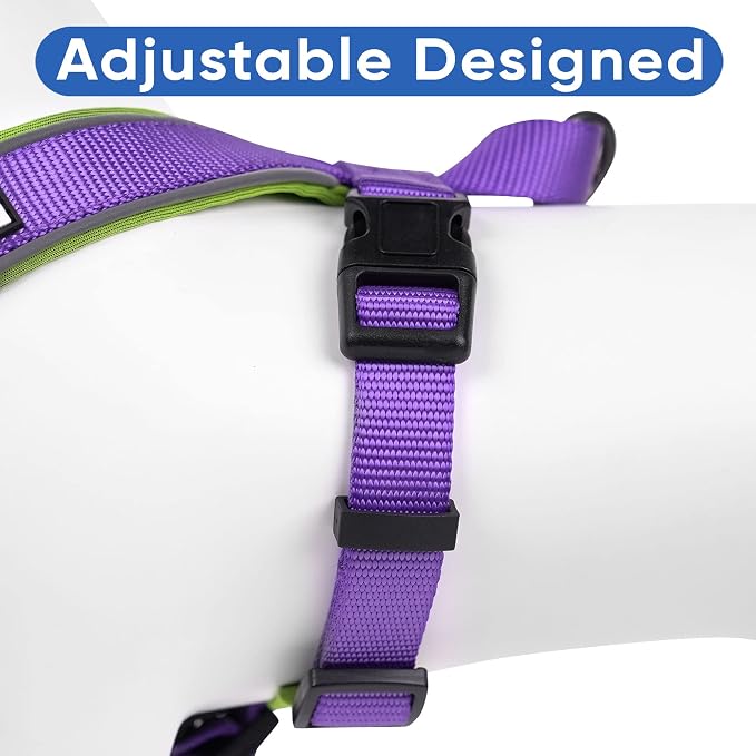 Pawtitas Reflective Padded Dog Harness for XX-Small Dogs – Adjustable Puppy Step-in Vest | Fits Chest 12–15 in | No Pull Training Harness | XXS | Purple