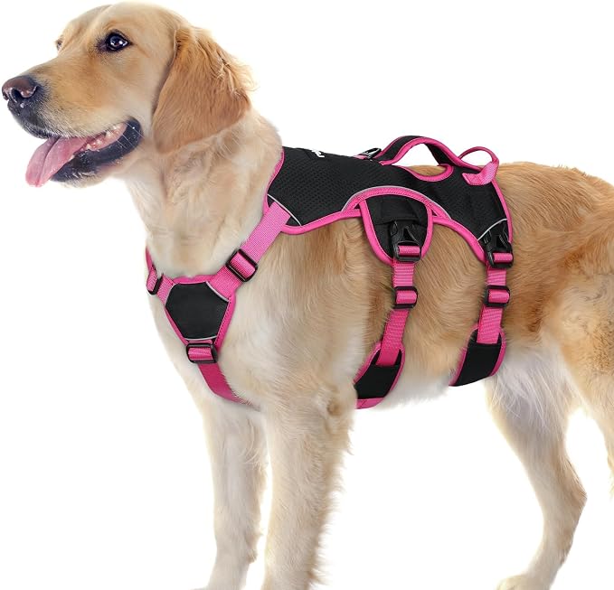 rabbitgoo Escape Proof Dog Harness for Large, No Pull with Lift Handle | No Escape, Full Soft Padded, Reflective Adjustable Vest, Leash Clip for Walking Hiking Training, Rose & Black, Large