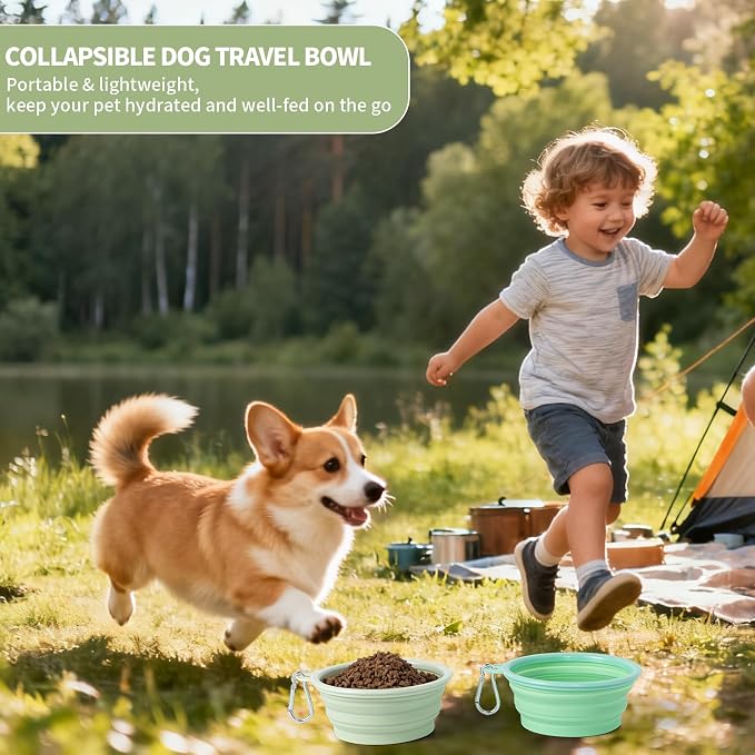 SLSON Macaron Collapsible Dog Bowl, 2 Pack, Small, Light Green & Light Yellow