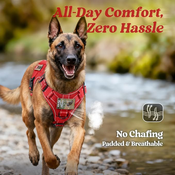 rabbitgoo Tactical Dog Harness for Small, Heavy Duty Military No Pull Vest | Sturdy Metal Buckles, 5 Adjustments, Molle System, Powerful Pullers for Training, Hunting, Outdoor, Red Reflex, Small