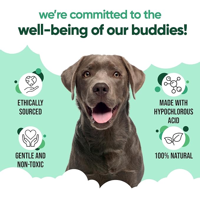 Buddycare Dog Ear Cleanser with Aloe Vera, 200ml