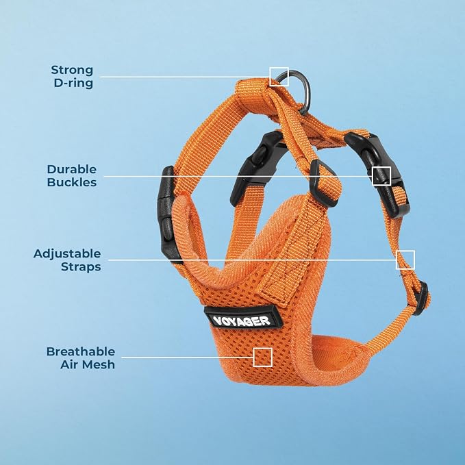 Voyager Step-in Lock Dog Harness - Orange, Medium | 17 - 21" in Chest, Adjustable, Breathable Air Mesh, Lightweight for Daily Walks, Strong Clips, Heavy Duty D-Ring
