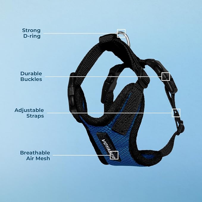 Voyager Step-in Lock Dog Harness - Royal Blue/Black Trim, X-Small | 13 - 16" in Chest, Adjustable, Breathable Air Mesh, Lightweight for Daily Walks, Strong Clips, Heavy Duty D-Ring